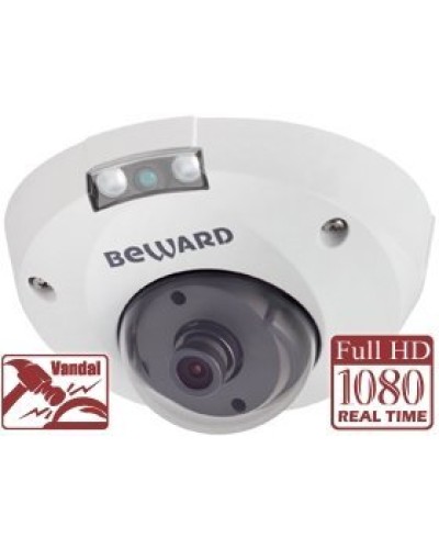 NK55630D8. IP-камера купольная. Beward в Златоусте
