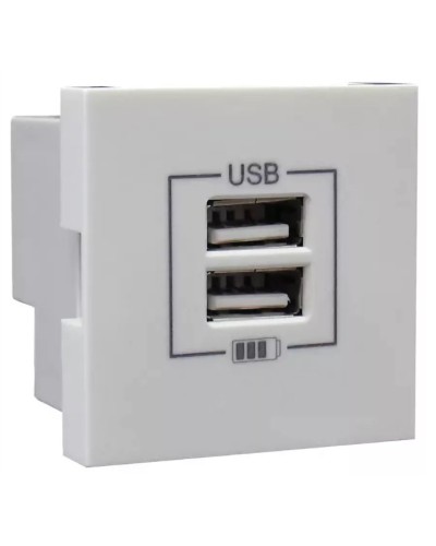Розетка USB двойная, зарядная, белая (45439 SBR): Розетка USB двойная в Златоусте