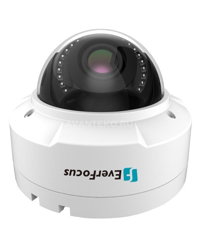 EHN-1250. Видеокамера IP купольная. EverFocus в Златоусте