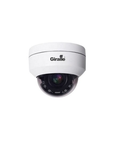 GF-IPDIRZ04MP5.0. Видеокамера IP поворотная. Giraffe в Златоусте