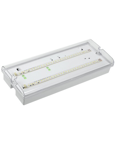 Светильник аварийный ДПА 5042-1 1ч IP65 LIGHTING (LDPA0-5042-1-65-K01). Светильник аварийный универсальный. IEK в Златоусте