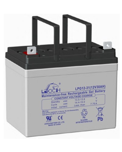 LEOCH LPG 12-31. Аккумулятор герметичный свинцово-кислотный. LEOCH в Златоусте