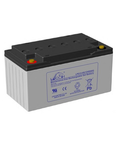 LEOCH LPG 12-65. Аккумулятор герметичный свинцово-кислотный. LEOCH в Златоусте