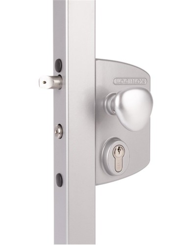 LIKQ4040 U2L (цвет: RAL 9005, черный). Замок электромеханический для калиток. Locinox в Златоусте