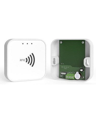 RFID-TM. Считыватель RFID. Ритм в Златоусте