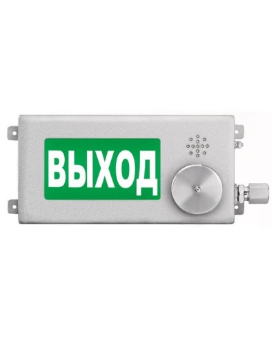 ТСВ-Exm-Н-Прометей-МИНИ 220В ВЫХОД. Оповещатель охранно-пожарный световой взрывозащищенный (табло). Спектрон НПО в Златоусте