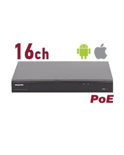 RK2216-P. Видеорегистратор IP 16-канальный. Beward в Златоусте