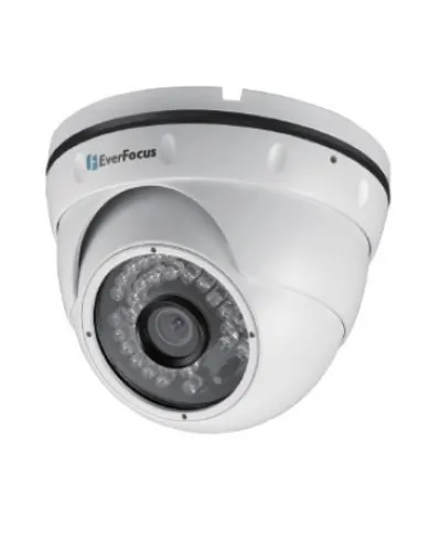 EBN-268. Видеокамера IP купольная. EverFocus в Златоусте