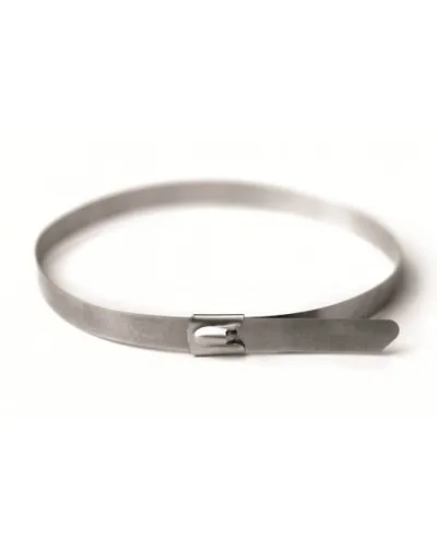 Хомут из нержавеющей стали AISI 316 4,6х175 (50 шт) (27604): Хомут из нержавеющей стали в Златоусте