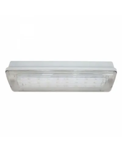 SL-223-30LED1.8 исп.1 IP54. Светильник аварийного освещения. ИП Раченков А.В. в Златоусте